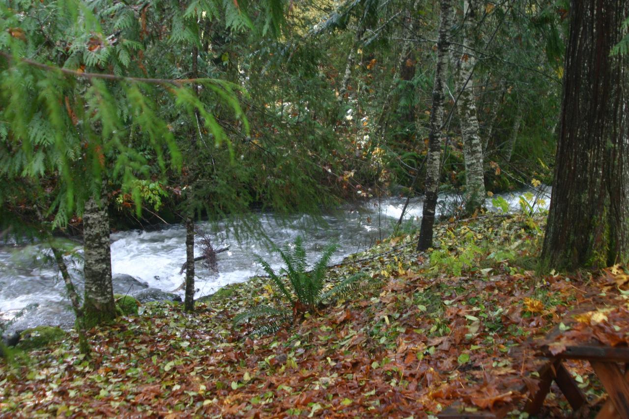 Copper Creek Inn Ashford Εξωτερικό φωτογραφία
